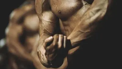 Best Steroids for Mass Gain