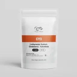 CY3