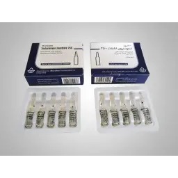 Testosterone Enathate (Aburaihan)
